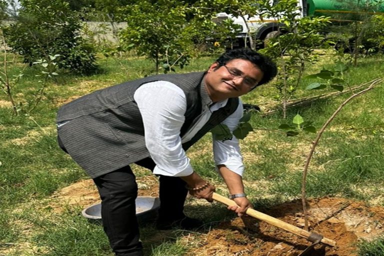 Tree Plantation