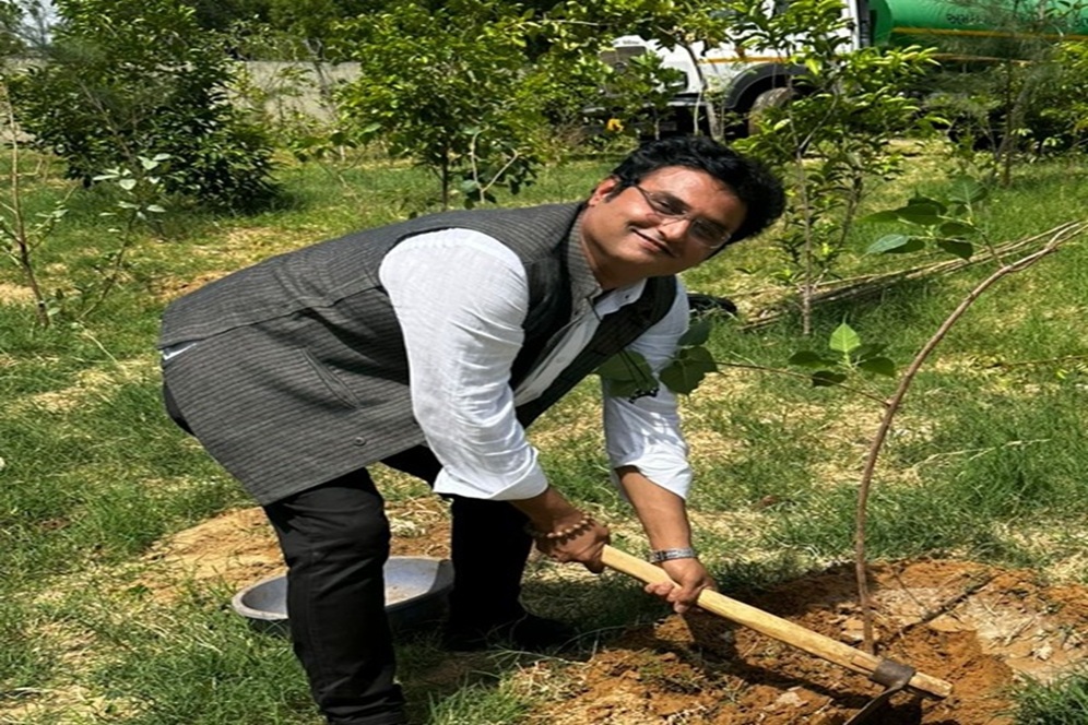 Tree Plantation